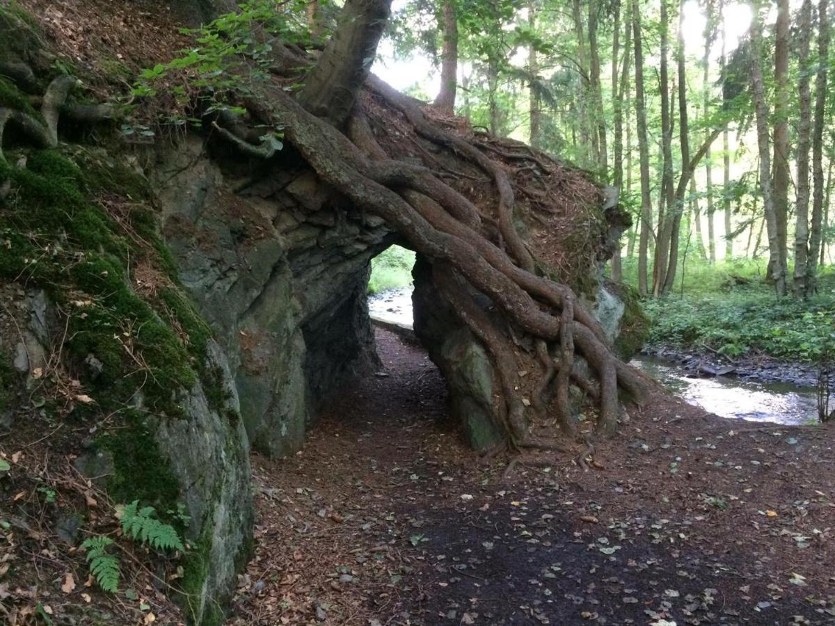 Alter Kornspeicher Ermsleben ภายนอก รูปภาพ